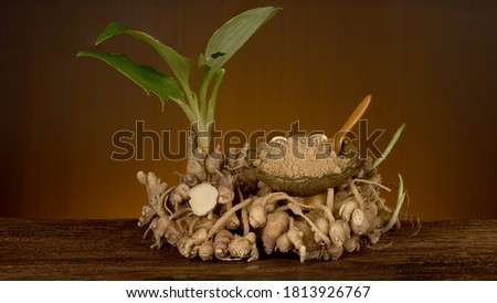 Still life with sand Ginger or Kaempferia galanga tree and powder on an old wooden background.
