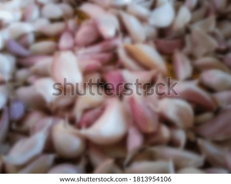 White garlic meat a heap close up healthy food spices pictures vitamin spicy food white garlic head picture