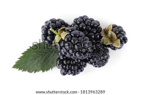 Delicious fresh ripe blackberries with leaf isolated on white, top view