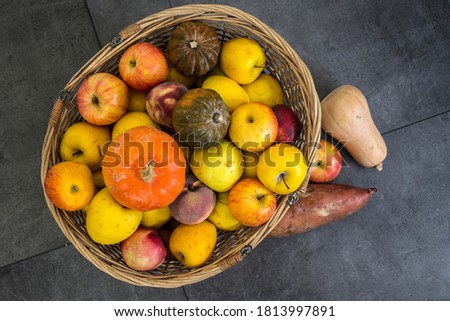 Basket with fresh seasonal fruits and vegetables. Top view photo of autumn harvest. Dark grey background. 