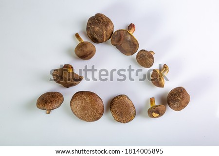 Triangle frame made of Jersey cow mushrooms on a white background. Top view. Horizontal orientation. High quality photo