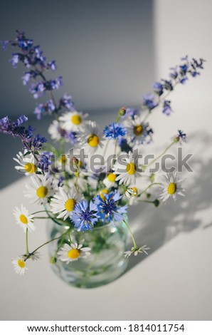 Bouquet of wildflowers in small glass vase on white table. Chamomiles, cornflowers, green grass. Summer photo. Contrast shadows on the white wall. Country style. Florist shop promotional materials.