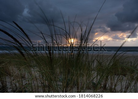sunset behind the grass of the dune