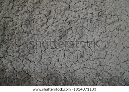 Texture of the dried earth with clay and sand, close-up. Dry cracked earth background, clay desert texture. 