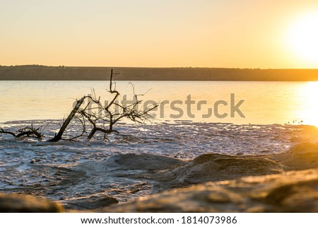 Landscape of a quiet estuary at sunset
