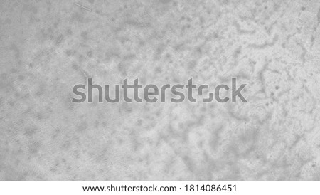 White stucco wall background. White painted concrete wall texture, cement gray