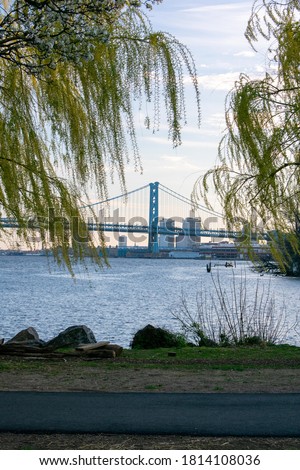 Looking Through Bright Green Trees at the Ben Franklin Bridge From the Newly Renovated Penn Treaty Park
