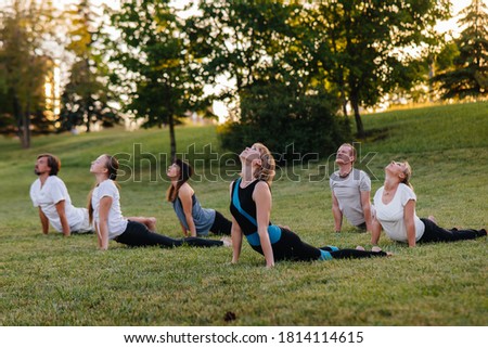 A group of people do yoga in the Park at sunset. Healthy lifestyle, meditation and Wellness Royalty-Free Stock Photo #1814114615