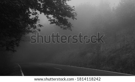 fog on the road black and white
