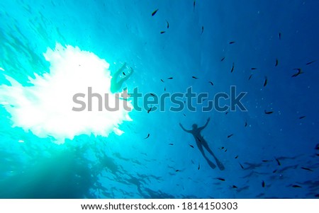 Silhouette of swimmers on the surface of a deep blue sea with small fish swimming around.