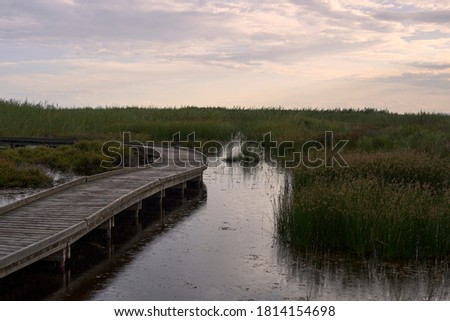 Wooden walkway over the lake in the rain, reflections, dusk