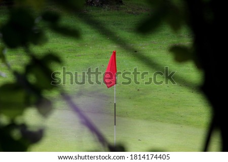 A photograph of a red flag on a golf course through tree branches 