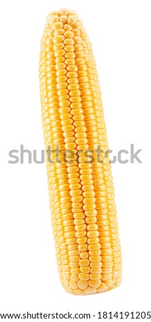 ear corns isolated on a white background