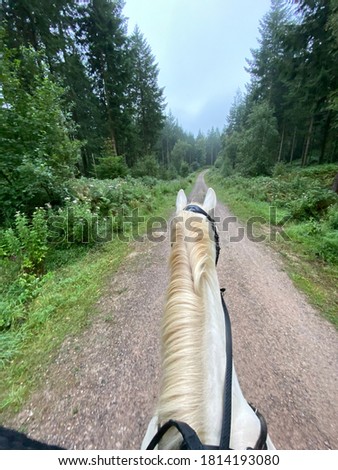 Hacking horses through the woods.