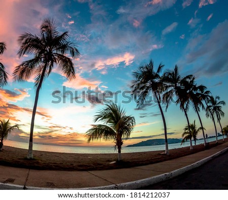 multicolored sunset on the beach of many palm trees