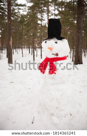 A large snowman in the forest dressed in a red scarf and hat with a carrot and a pipe. Children made a huge snowman in the park on a cold winter day. The concept of early development of children.