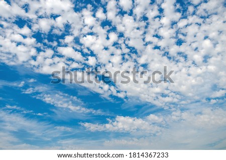 Summer sky in clouds during the warm morning period of day. Stratocumulus clouds