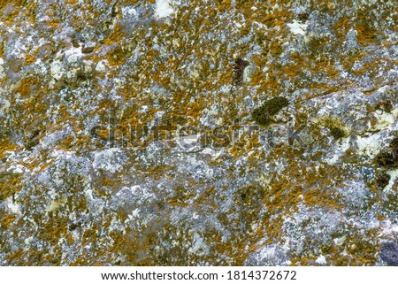 Background of stone texture with moss. Close up image