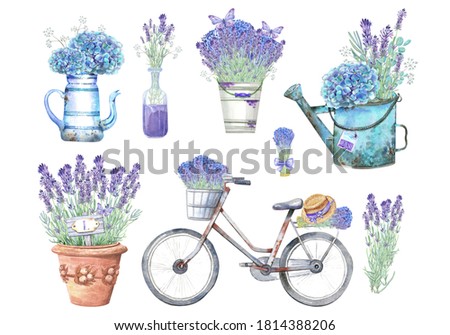 Provence lavender, butterfly, floral arrangements clip art set. Isolated elements on a white background. Stock illustration. Hand painted in watercolor.