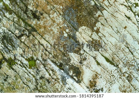 Background of stone texture with moss. Close up image.