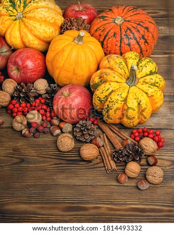 autumn background. pumpkins, cones, berries, apples, nuts, cinnamon on wooden table. symbol of fall season. harvest, thanksgiving concept. healthy farm food. flat lay. copy space. template for design