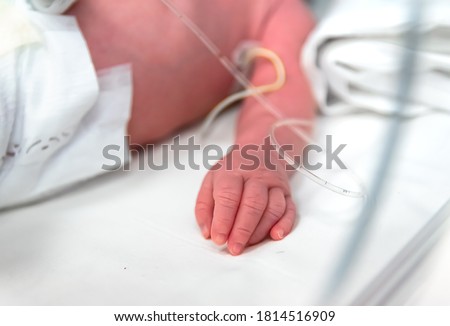 premature baby hand, selective focus. Newborn is placed in the incubator, baby born prematurely. Neonatal intensive care unit Royalty-Free Stock Photo #1814516909