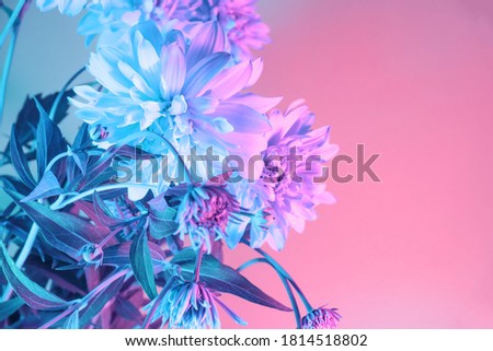 Close up Beautiful flowers in neon light. Minimalism retro style concept. 80s. Background pattern for design. Macro photography view.