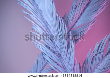 Beautiful palm leaf in neon light. Minimalism retro style concept. Background pattern texture for design. 