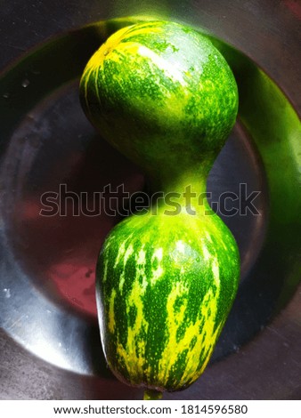 A different shaped  cucumber picture