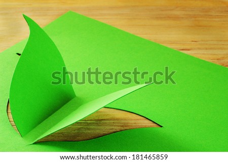 Abstract composition with butterfly, flower, bark . Green concept with copy space