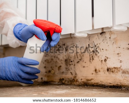 A woman in a protective suit and a respirator sprays a special antifungal spray on the mold-infested wall under the heating battery, Clouse-up. Royalty-Free Stock Photo #1814686652