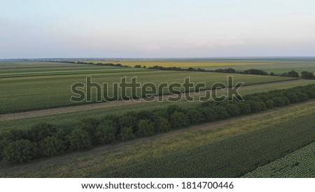 Agriculture organic field aerial view