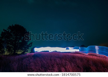 Painting with light bat on a nocturnal pasture