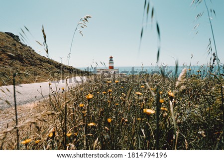A red and white lighthouse from the meadow of flowers