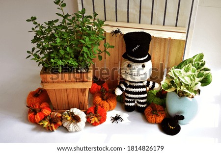 Halloween crochet with cute ghost, pumpkins, spiders, witch hat, knitting, handmade, kid, childhood, children, funny, toys in white and wood background, botany garden, sunny, plant