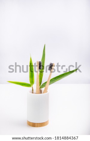 A family set of two wooden toothbrushes standing with fresh bamboo leaves in white fluted holder with bamboo basis on white background. Eco-friendly and zero waste lifestyle. Minimalism. Copy space