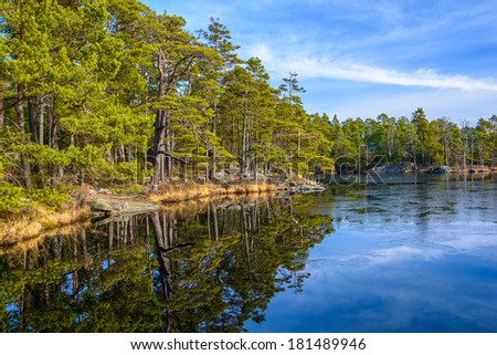 Pine trees by a lake in Tyresta National Park in Sweden Royalty-Free Stock Photo #181489946