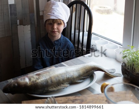 Funny blond boy in blue shirt and jeans in white chef's hat. child helps in the kitchen to cook fish. Fresh fish, lemon, grated carrots and potted seedlings are laid out on table