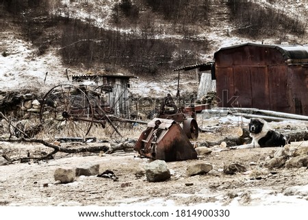 Signs of stagnation and crisis in agriculture. Old equipment and a dog guarding unnecessary equipment. The picture is compounded by black and white colors in wintertime. Caucasian Mountain Dog