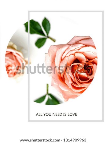 roses flowers greetings card with love  text quotes for Valentine Day Wedding 