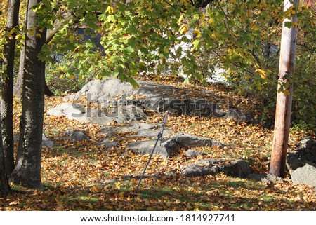 picture of rocks outside in the time of Fall