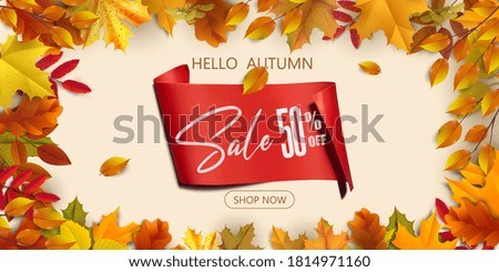 Greetings and gifts for the autumn and autumn season concept. Autumn background, poster and banner template with colorful autumn leaves.