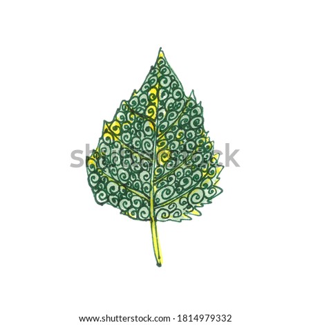 decorative ornamental autumnal yellow green birch tree leaf on a white background