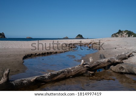 Hahei beach white sand and blue sea with small stream through sand and driftwood log laying across.