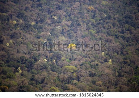 MORRO-DO-DIABO-STATE-PARK Stock Photos and Images - Avopix.com