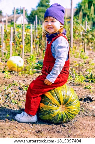 A beautiful little girl sits on a large pumpkin in a field and smiles. A child on a pumpkin farm. The Concept Of Halloween. The concept of a happy childhood