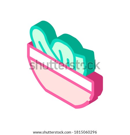 salad plate isometric icon vector. salad plate sign. isolated symbol illustration
