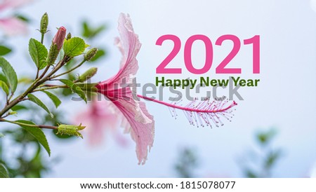 Eco friendly happy new year ads banner. 2021 greeting card with typography and a pink flower picture the sky background.