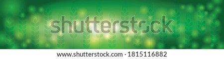 Green background. Green shining abstract background with ears of wheat. Nature poster with bokeh. Vector 10 EPS.