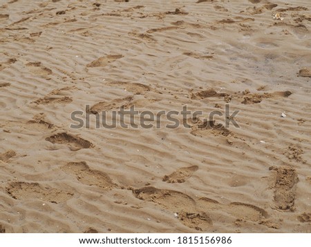 Footprints in the sand on a beach.